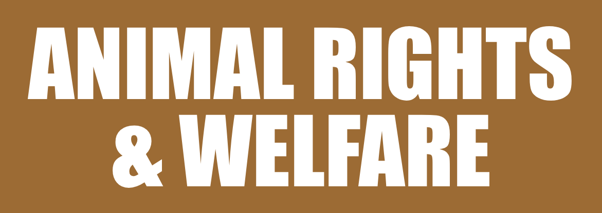 Animal Rights & Welfare